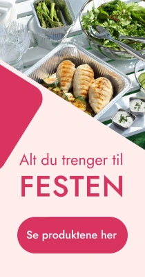 alt til festen